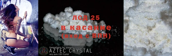 индика Беломорск
