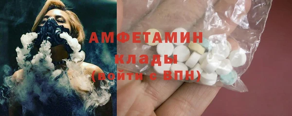 индика Беломорск