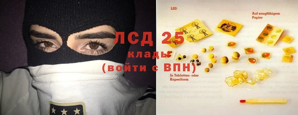индика Беломорск