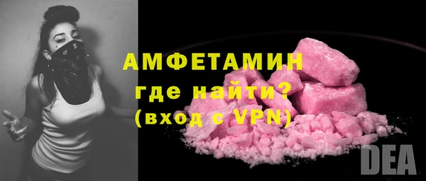 индика Беломорск