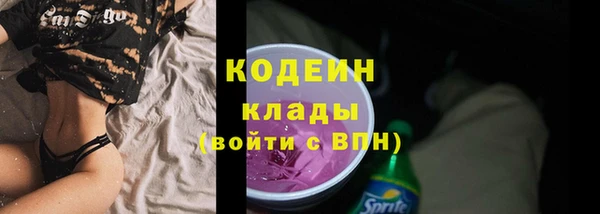 индика Беломорск