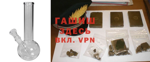 индика Беломорск