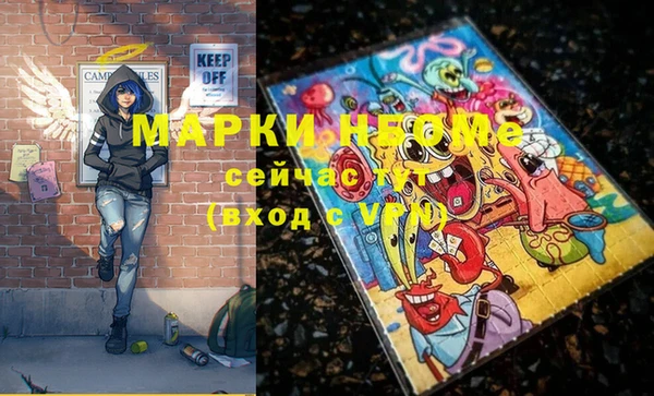 индика Беломорск