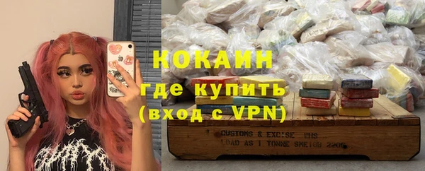 индика Беломорск