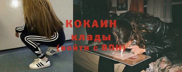 индика Беломорск