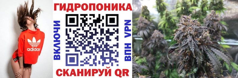 Каннабис ГИДРОПОН  Острогожск 